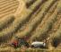 Трактори 4WD Case IH Quantum 90 CL