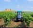 Трактори 4WD Landini Rex 120F