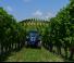 Трактори 4WD Landini Rex 3-080F
