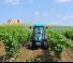 Трактори 4WD Landini Rex DT 4-090V