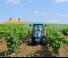 Трактори 4WD Landini Rex DT 4-100F