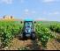 Трактори 4WD Landini Rex 85F