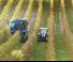 Трактори 4WD New Holland T 4.105 LP