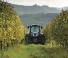 Трактори 4WD New Holland T 4.105 LP
