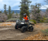 Kawasaki BRUTE FORCE 750 SE