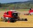 Massey Ferguson Activa 7245 SAL
