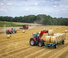 Зерновий комбайн Massey Ferguson Activa 7344