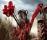 Зерновий комбайн Case IH Austoft 9900