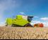 Зерновий комбайн Claas Avero 160