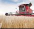 Case IH Axial Flow 6130