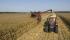 Зерновий комбайн Case IH Axial Flow 7088