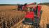Зерновий комбайн Case IH Axial Flow 8120