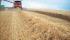 Зерновий комбайн Case IH Axial Flow 8120