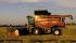 Зерновий комбайн Case IH Axial Flow 8120