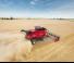 Зерновий комбайн Case IH Axial Flow 8250