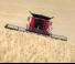 Зерновий комбайн Case IH Axial Flow 8250