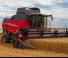 Зерновий комбайн Massey Ferguson Beta 7370 PL