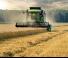Зерновий комбайн DEUTZ-FAHR C 6205 Topline