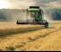 Зерновий комбайн DEUTZ-FAHR C 6205 TS Topline