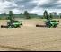 Зерновий комбайн DEUTZ-FAHR C 6205 TS Topline