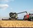 Зерновий комбайн Fendt Corus 522 