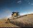 Зерновий комбайн New Holland CR9.80 ST5+DFR