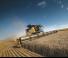 Зерновий комбайн New Holland CR9.90 SCR