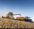 Зерновий комбайн New Holland CX8.85 Tracks
