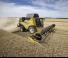 Зерновий комбайн New Holland CX8.90   