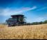Зерновий комбайн Massey Ferguson Ideal 9 T