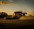 Зерновий комбайн Massey Ferguson Ideal 9 T