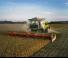 Зерновий комбайн Claas Lexion 6700 TerraTrac 
