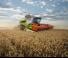 Зерновий комбайн Claas Lexion 6800 