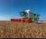 Зерновий комбайн Claas Lexion 740