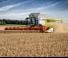 Зерновий комбайн Claas Lexion 7700 