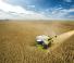 Зерновий комбайн Claas Lexion 7700 TerraTrac 