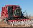 Зерновий комбайн Case IH Module Express 635