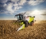 Зерновий комбайн Claas Trion 660   