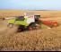 Зерновий комбайн Claas Trion 750 Terra Trac   