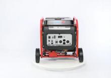 Бензинові електрогенератори Endress ESE 8000 DBS/S ES