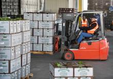 Електричні навантажувачі Linde E20C