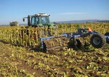 Газонні та польові катки DAL-BO MaxiCut 600