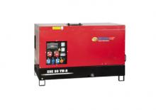 Дизельні генератори Endress ESE 10 YW-B