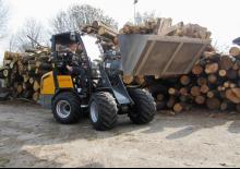 Колісні навантажувачі Giant V 452 T HD