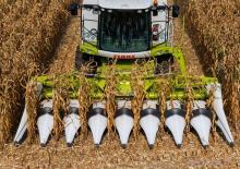 комбайн з підбирачем для кукурудзи Claas Corio 575 C