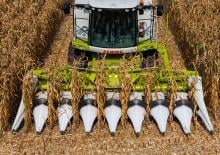 комбайн з підбирачем для кукурудзи Claas Corio 670 FC
