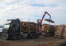 Крани навантажувальні Epsilon M 110 L 97