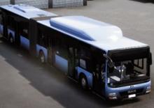 Міські автобуси MAN Lion’s City GL