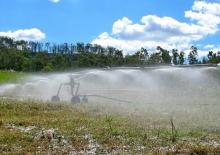 Розпилювальні шланги Irrimec IRRIGATION BOOM F.V.T. 25/32