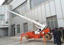 Колісні телескопічні підйомники Easy Lift R300WHY 